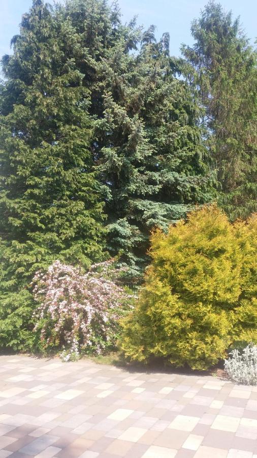 Apartament Bukowe Zacisze Gąski Zewnętrze zdjęcie